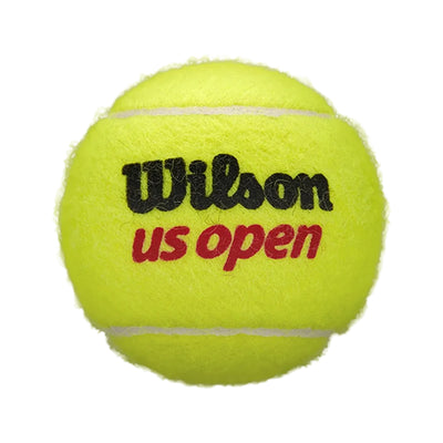 Wilson US Open Extra Duty Tennis Balls (4 Balls Can)